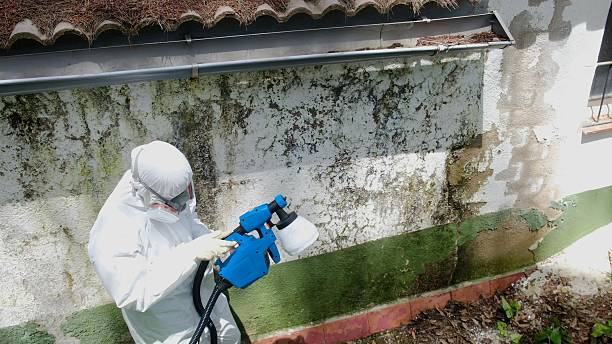 Trusted Mold Remediation service in Parlin, NJ - Cheap Mold Removal